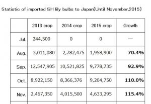 Statistic of imported SH lily bulbs to Japan(Until November,2015) （Dec 15, 2015）