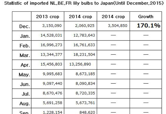 Statistic of imported NL,BE,FR lily bulbs to Japan(Until December, 2015) （Jan 18, 2016）