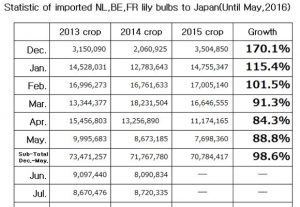 Statistic of imported NL,BE,FR lily bulbs to Japan(Until May, 2016) （Jun 14, 2016）
