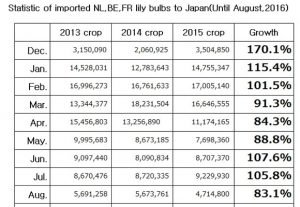 Statistic of imported NL,BE,FR lily bulbs to Japan(UntilAug, 2016) （Sep 13, 2016）
