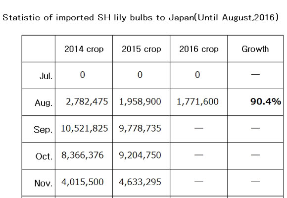 Statistic of imported SH lily bulbs to Japan(Until Aug,2016) （Sep 13, 2016）