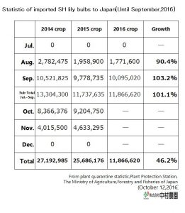 Statistic of imported SH lily bulbs to Japan(Until Aug,2016) （Sep 13, 2016）