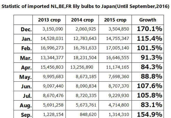 Statistic of imported SH lily bulbs to Japan(Until Oct,2016) （Nov 15, 2016）