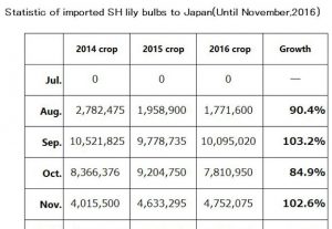 Statistic of imported SH lily bulbs to Japan(Until Nov,2016) （Dec 12, 2016）