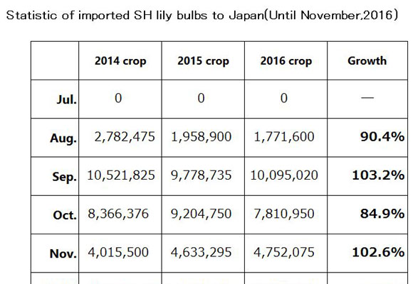 Statistic of imported SH lily bulbs to Japan(Until Nov,2016) （Dec 12, 2016）