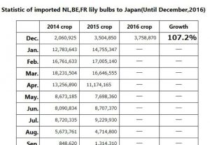 Statistic of imported NL,BE,FR lily bulbs to Japan(Until Dec, 2016) （Jan 10, 2017）