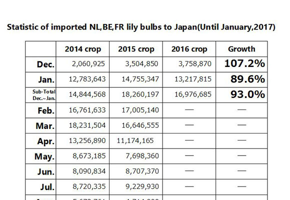 Statistic of imported NL,BE,FR lily bulbs to Japan(Until Jan, 2017) （Feb 15, 2017）