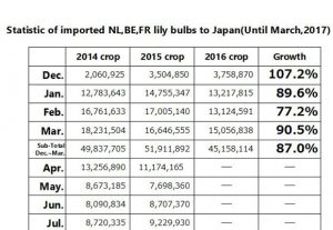 Statistic of imported NL,BE,FR lily bulbs to Japan(Until Mar, 2017) （Apr 11, 2017）