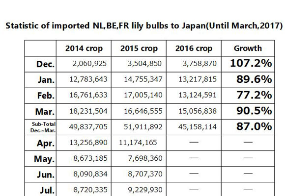 Statistic of imported NL,BE,FR lily bulbs to Japan(Until Mar, 2017) （Apr 11, 2017）