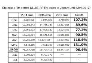 Statistic of imported NL,BE,FR lily bulbs to Japan(Until May, 2017) （June 13, 2017）