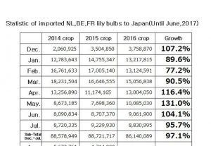 Statistic of imported NL,BE,FR lily bulbs to Japan(Until Jul, 2017) （Aug 17, 2017）