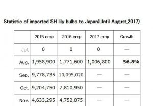Statistic of imported SH lily bulbs to Japan(Until Aug,2017) （Sep 11, 2017）
