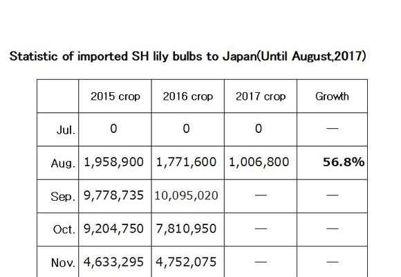 Statistic of imported SH lily bulbs to Japan(Until Aug,2017) （Sep 11, 2017）