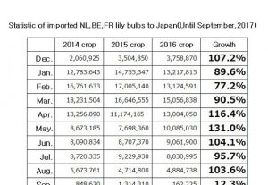 Statistic of imported NL,BE,FR lily bulbs to Japan(Until Sep, 2017) （Oct 10, 2017）