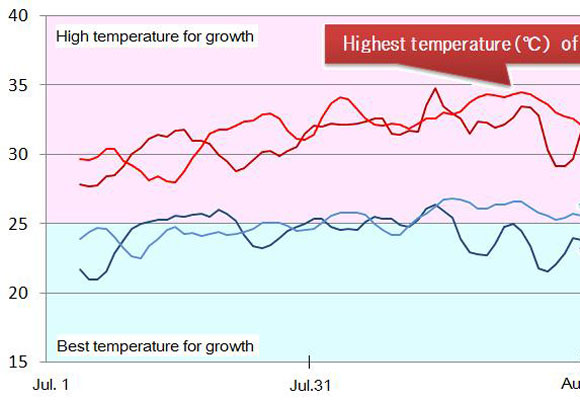 Heat wave in July August (Sep.1.2010)