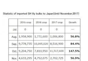 Statistic of imported SH lily bulbs to Japan(Until Nov,2017) （Dec 11, 2017）