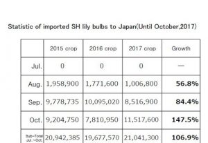 Statistic of imported SH lily bulbs to Japan(Until Oct,2017) （Nov 14, 2017）