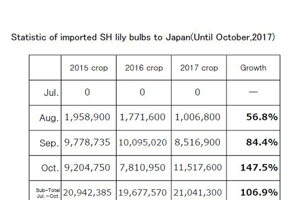 Statistic of imported SH lily bulbs to Japan(Until Oct,2017) （Nov 14, 2017）