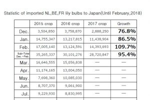 Statistic of imported NL,BE,FR lily bulbs to Japan(Until February,2018)
