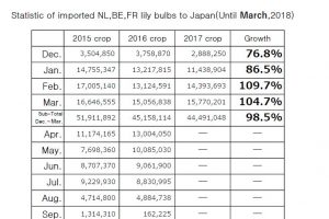 Statistic of imported NL,BE,FR lily bulbs to Japan(Until March,2018)