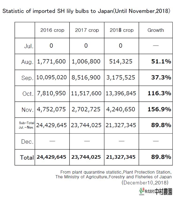 Statistic of imported SH lily bulbs to Japan(Until November,2018)