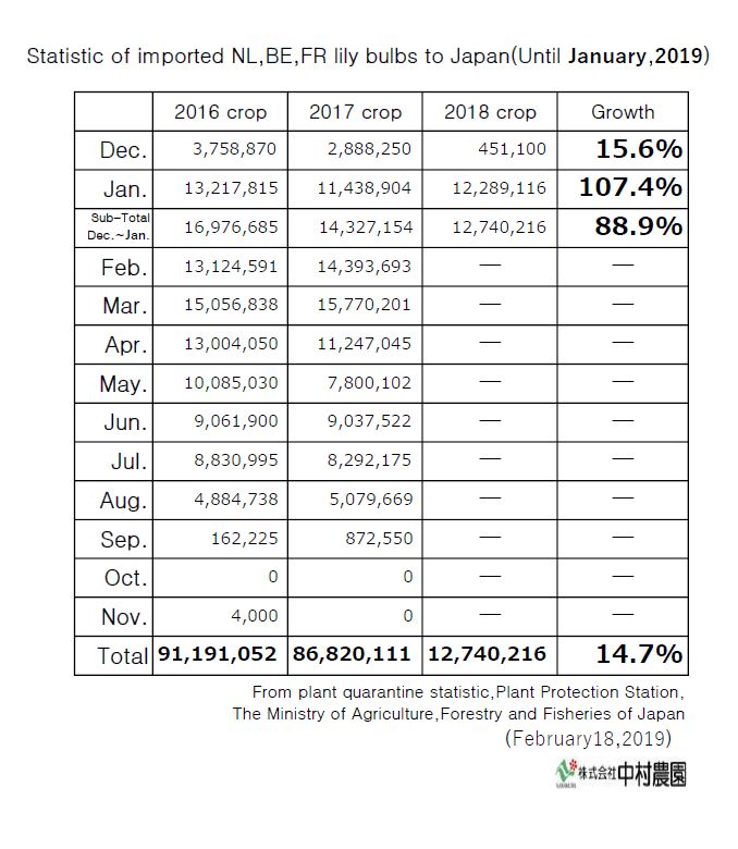 Statistic of imported NL,BE,FR lily bulbs to Japan(Until  January,2019)