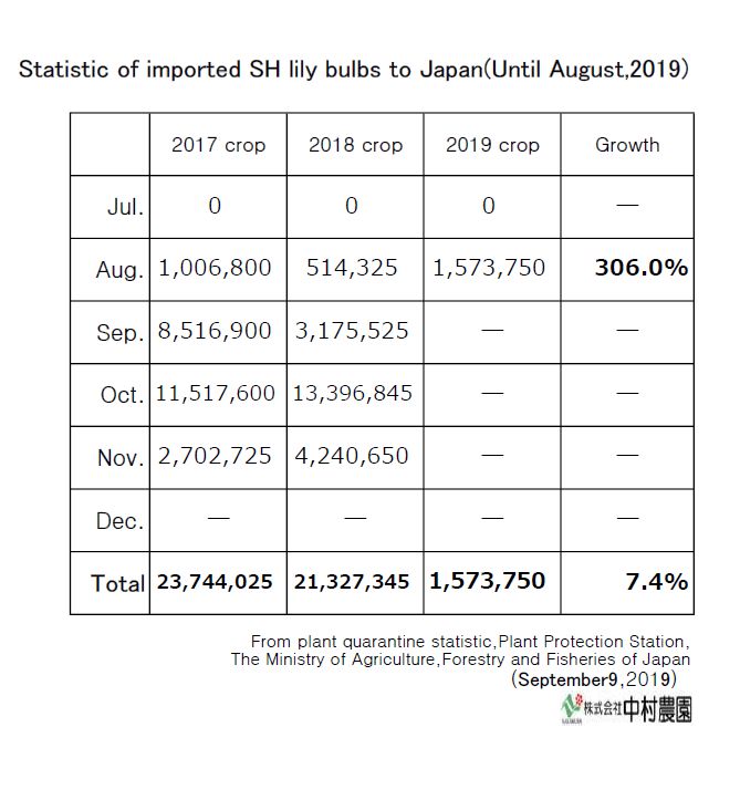 Statistic of imported SH lily bulbs to Japan(Until August,2019)
