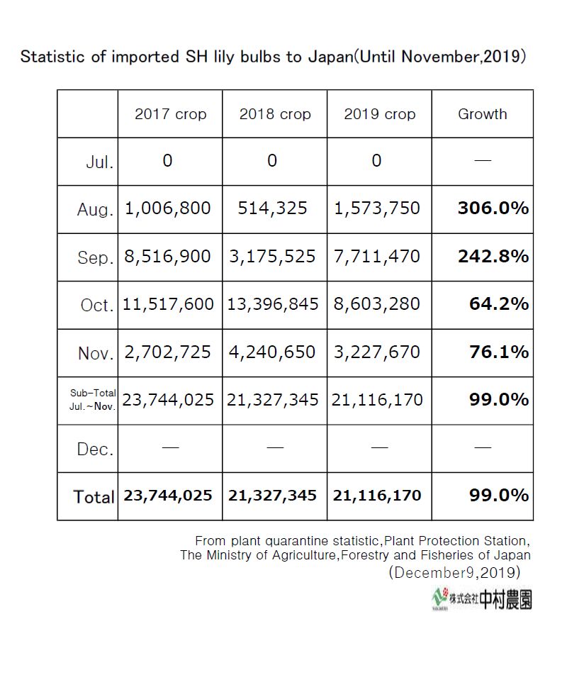 Statistic of imported SH lily bulbs to Japan(Until November,2019)