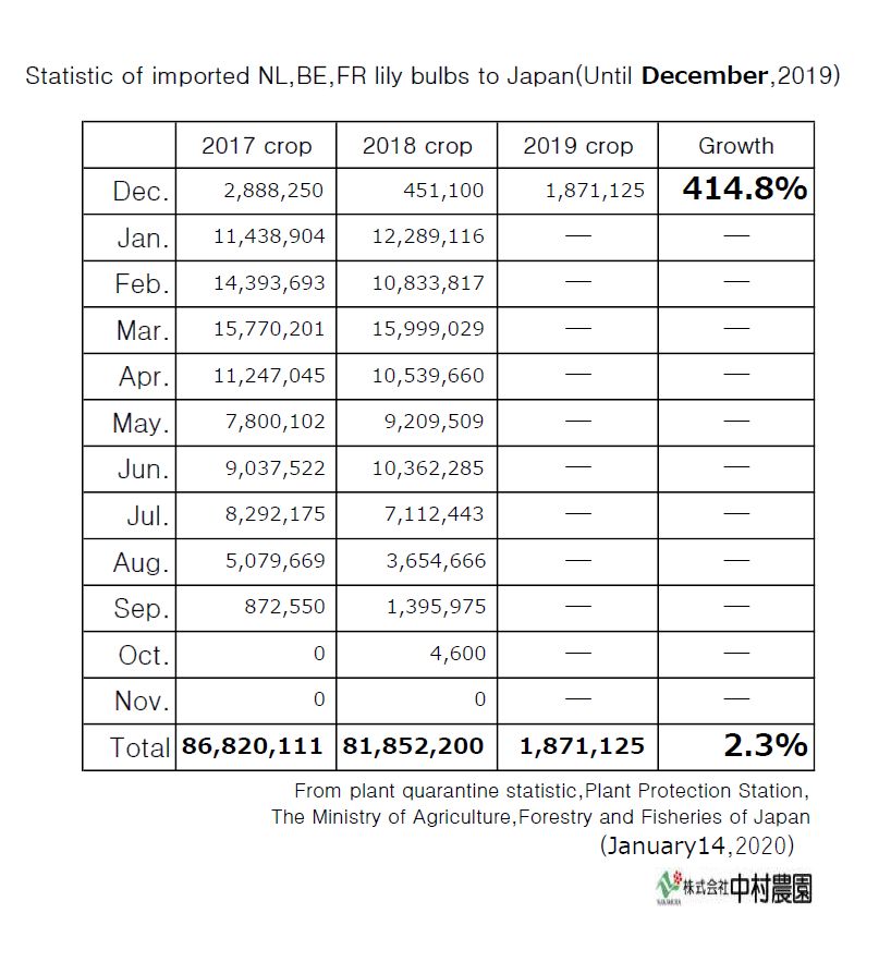 Statistic of imported NL,BE,FR lily bulbs to Japan(Until December,2019)