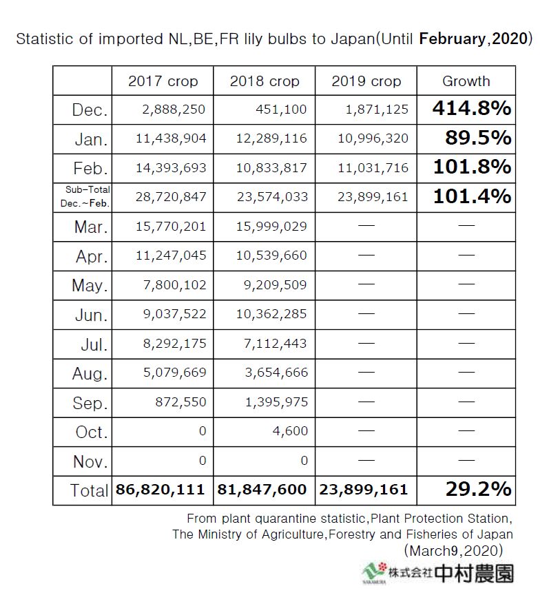 Statistic of imported NL,BE,FR lily bulbs to Japan(Until February,2020)