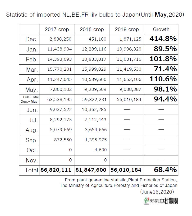 Statistic of imported NL,BE,FR lily bulbs to Japan(Until May,2020)