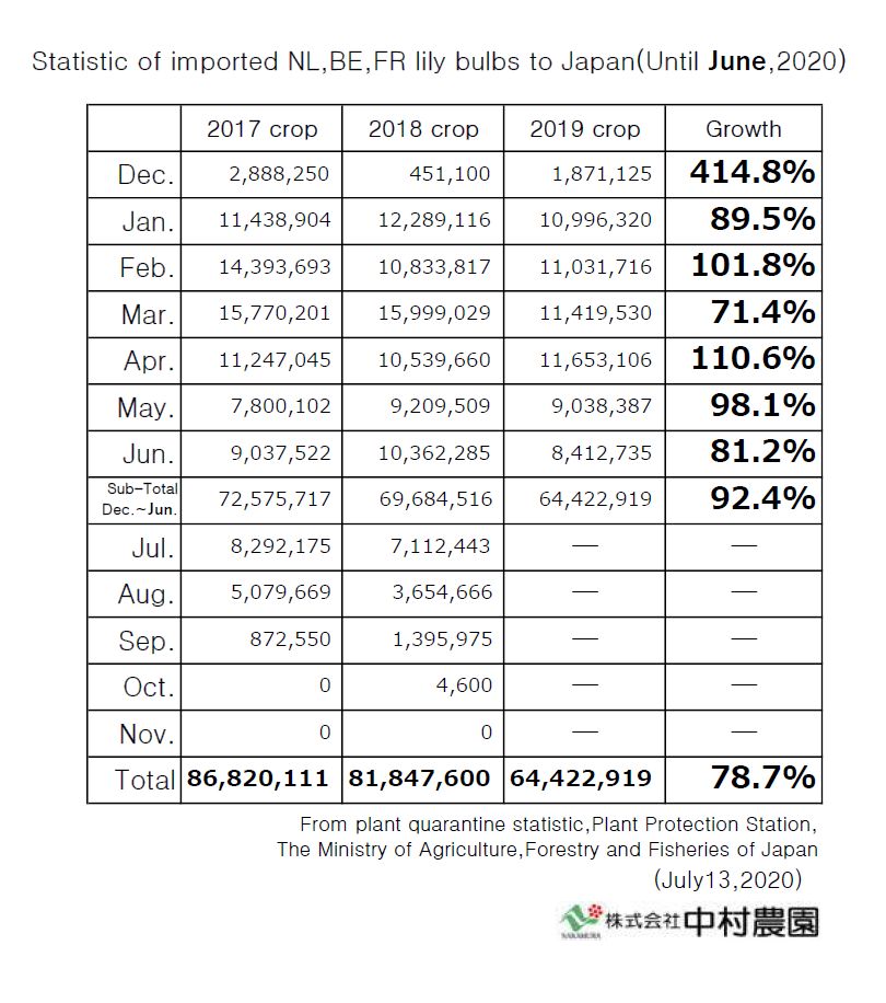 Statistic of imported NL,BE,FR lily bulbs to Japan(Until June,2020)