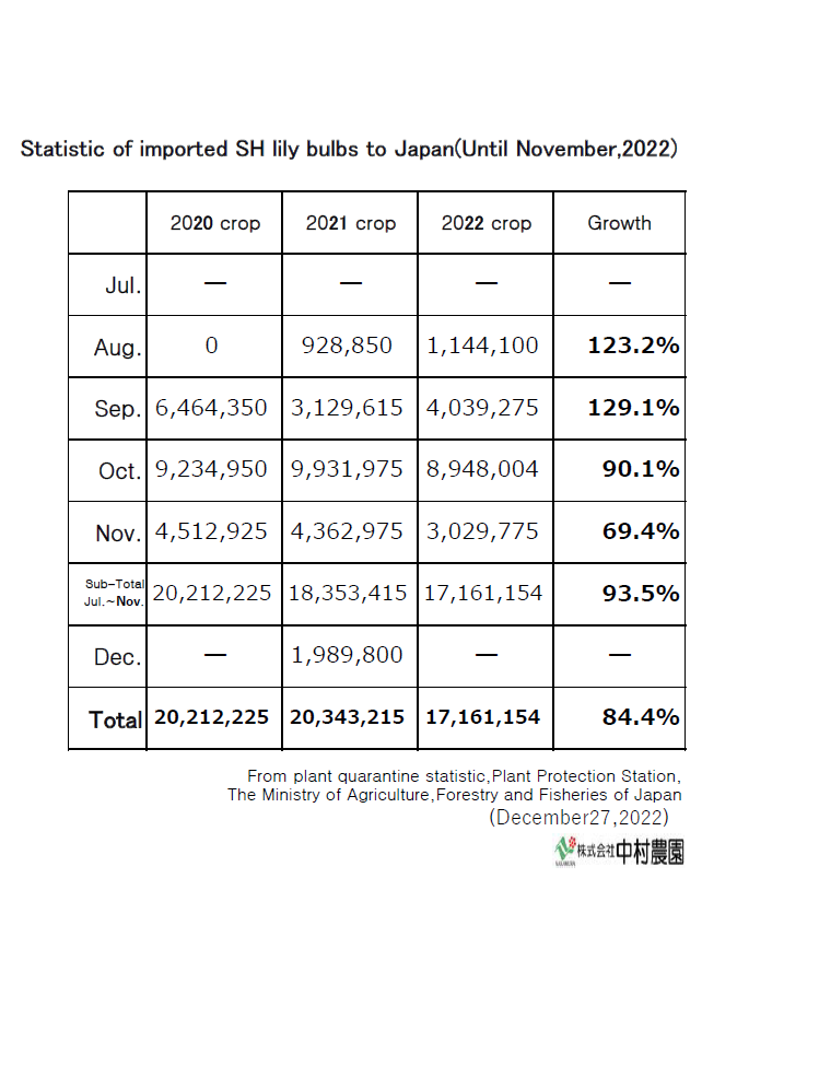 Statistic of imported SH lily bulbs to Japan(Until November,2022)