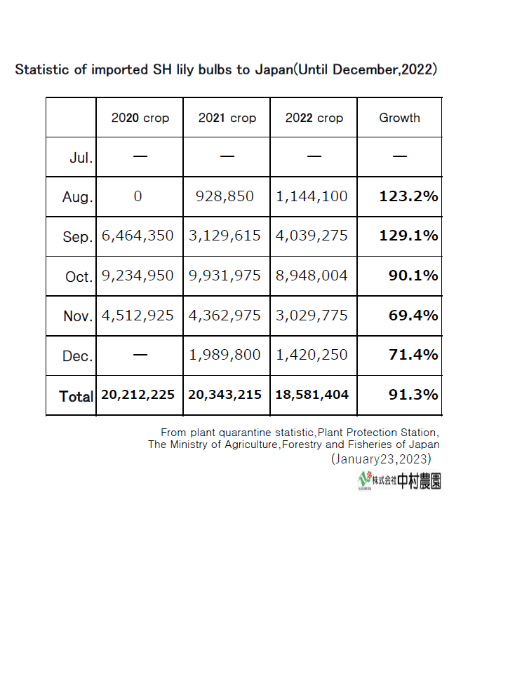 Statistic of imported SH lily bulbs to Japan(Until December,2022)