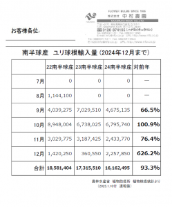 Statistic of imported SH bulbs to Japan (Until December, 2024)