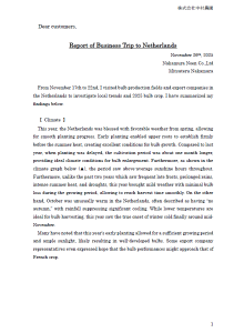 Report of the Business Trip to Netherlands (2025/11/26)