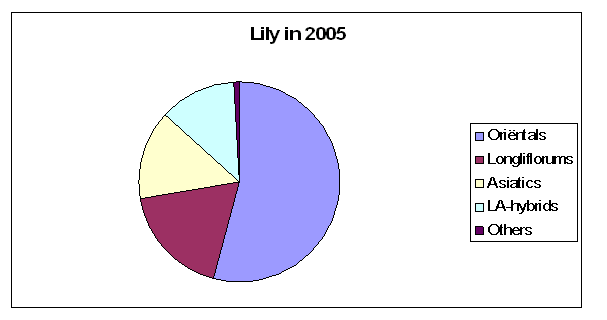 PFO Lily Rerort 2005 (July 4th, 2006)
