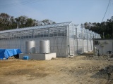「Let’s go to Kochi」 with pictures of our test greenhouse  (Febrary 14th, 2007)