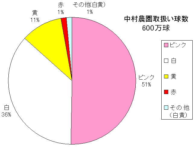 ２００４年南半球産球根（ＳＨ球）取扱実績－最終報告－