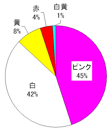 ２００５年南半球産球根（ＳＨ球）当社の現状について