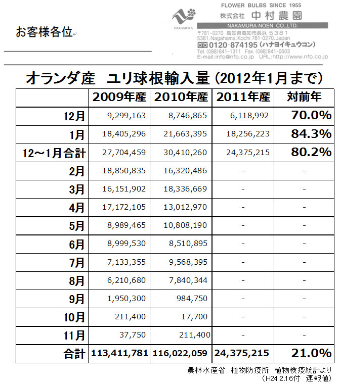 オランダ産ユリ球根輸入量1月まで（2012/2/16）