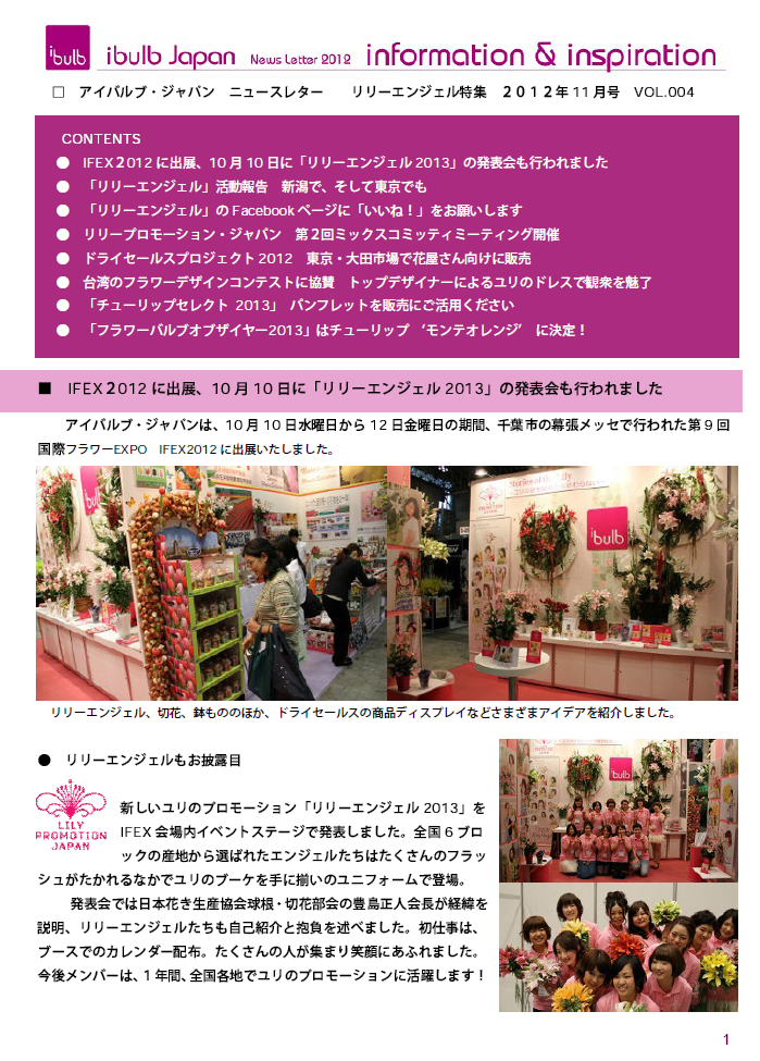 アイバルブ・ジャパン ニュースレター 2012年11月号（2012/11/26）