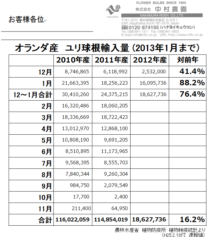 オランダ産ユリ球根輸入量1月まで（2013/2/18）