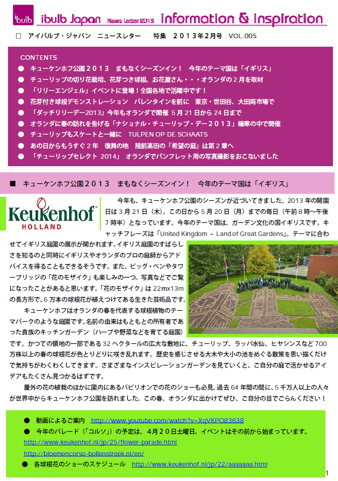 アイバルブ・ジャパン ニュースレター 2013年2月号（2013/2/25）