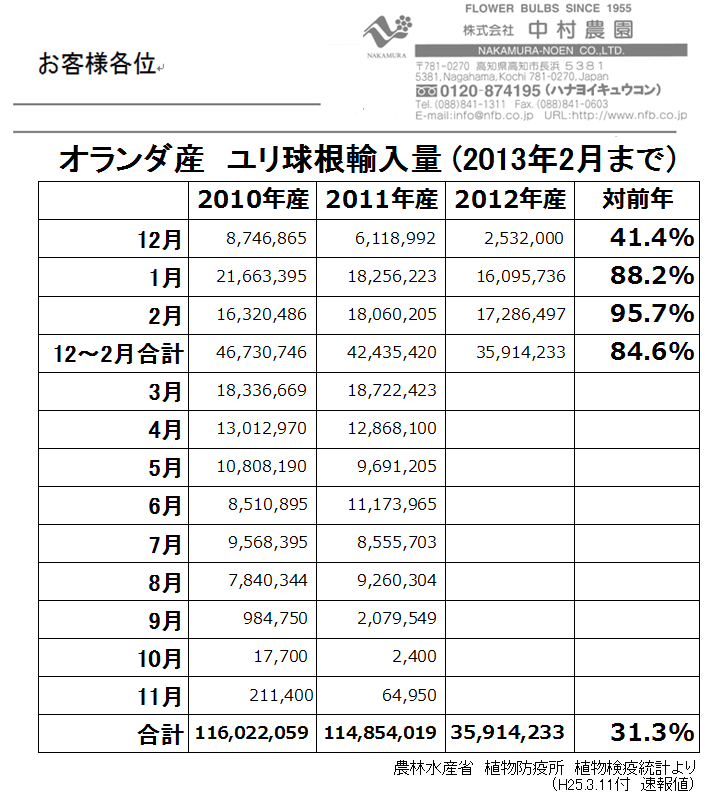 オランダ産ユリ球根輸入量2月まで（2013/3/11）