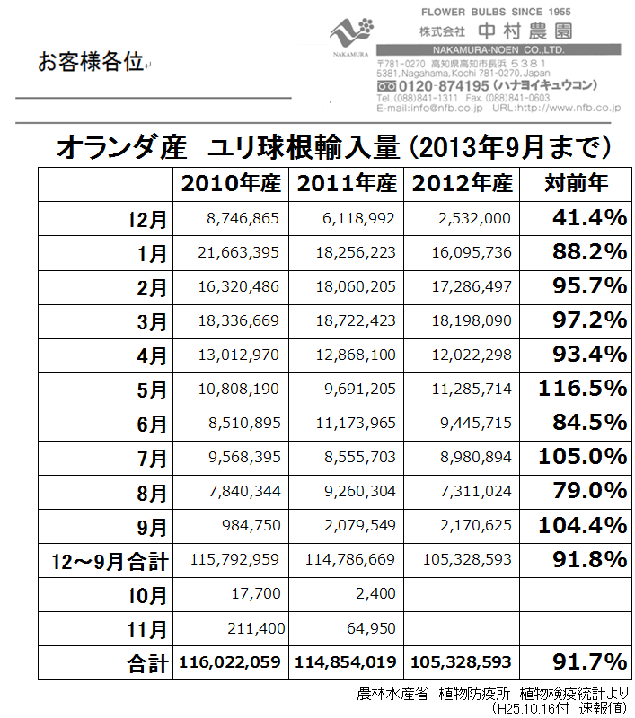 オランダ産ユリ球根輸入量9月まで（2013/10/16）