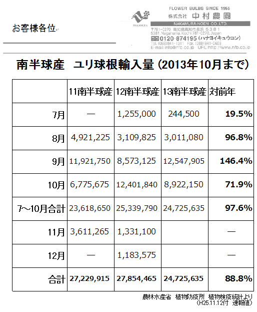 南半球産ユリ球根輸入量10月まで（2013/11/12）