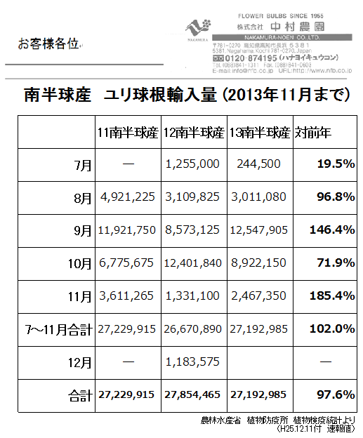 南半球産ユリ球根輸入量11月まで（2013/12/11）