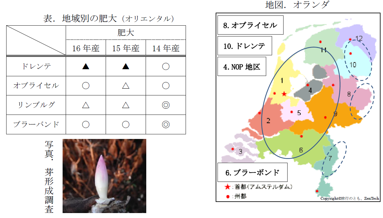 オランダ出張報告（2016/11/30）