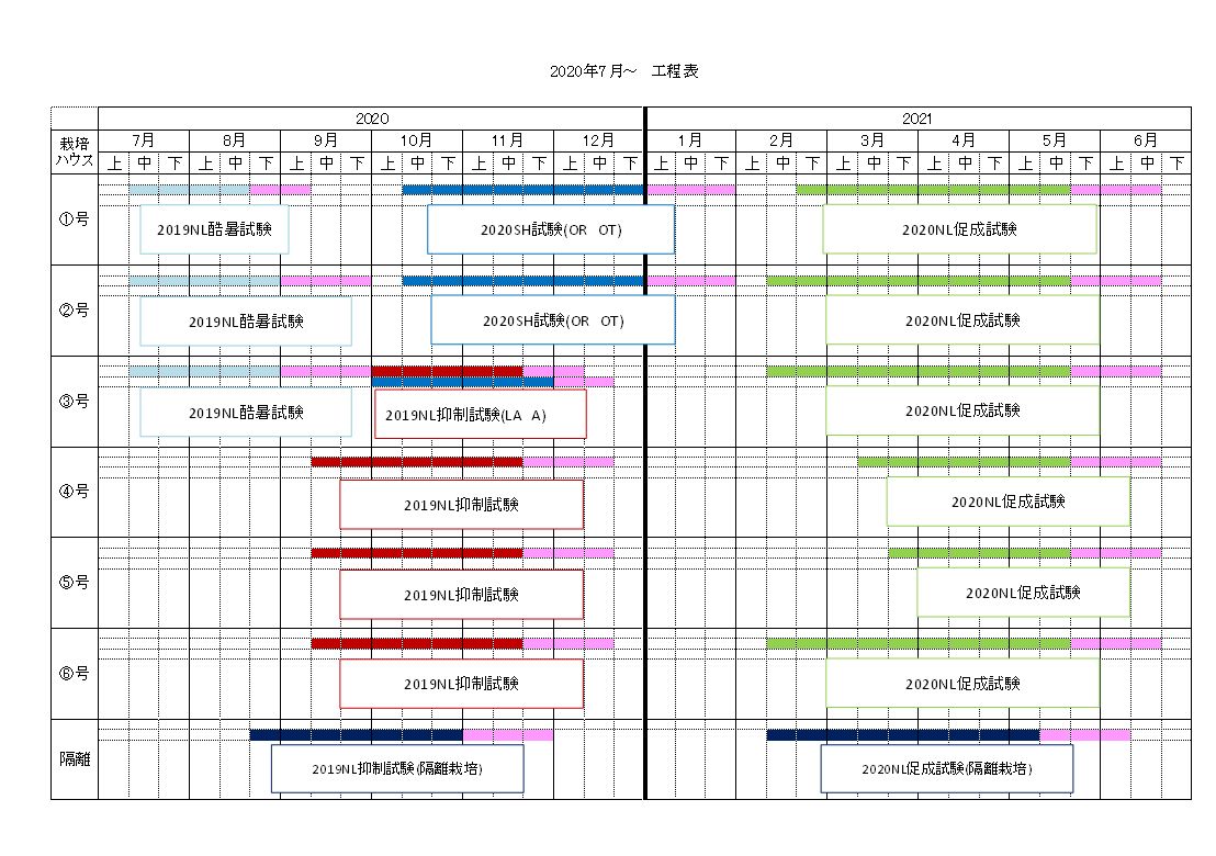 栽培 栽培 促成 抑制